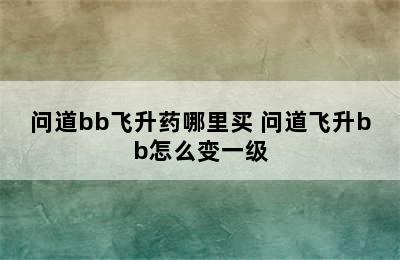 问道bb飞升药哪里买 问道飞升bb怎么变一级